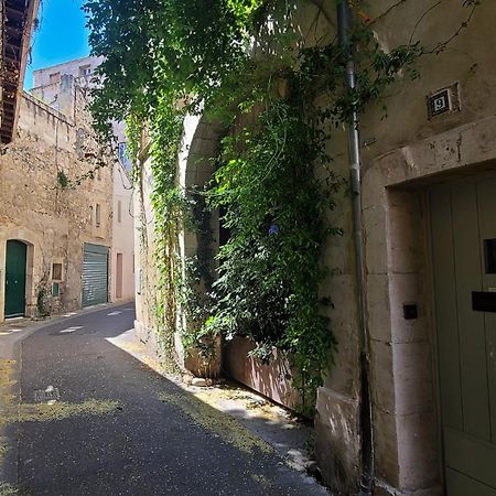 Wifi - Hypercenter - In The Heart Of Avignon! Daire Dış mekan fotoğraf